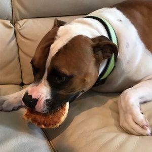 Meet your Posher, Iz